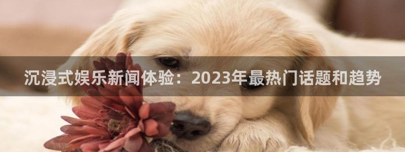 沉浸式娱乐新闻体验：2023年最热门话题