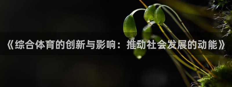 《综合体育的创新与影响：推动社会发展的动