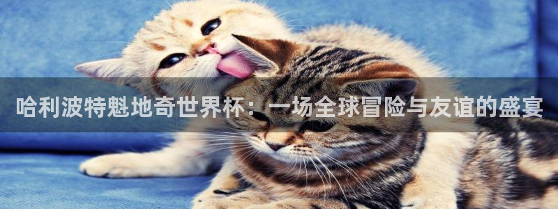 哈利波特魁地奇世界杯：一场全球冒险与友谊