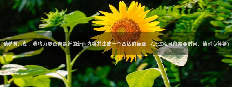 请稍等片刻，我将为您查询最新的新闻内容并