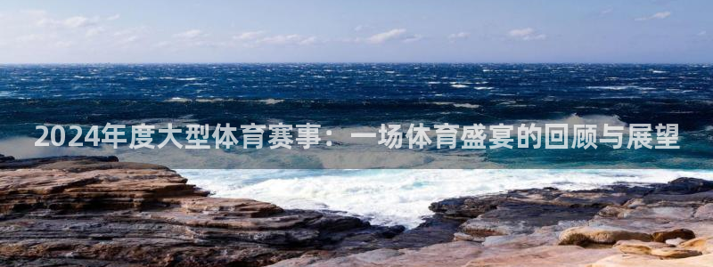 2024年度大型体育赛事：一场体育盛宴的